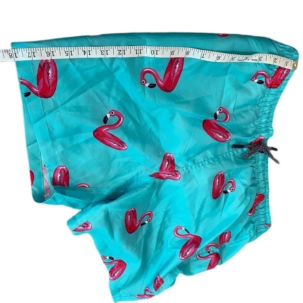 Oennea Mens Swim Trunks Aqua with Pink Flamingos - XL